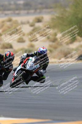 media/May-14-2023-SoCal Trackdays (Sun) [[024eb53b40]]/Turn 5 Tree of Life (1125am)/